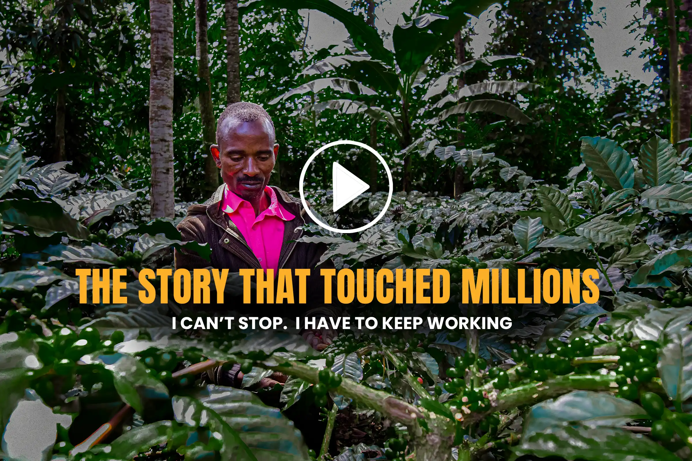 Talanta-Trust-Videos